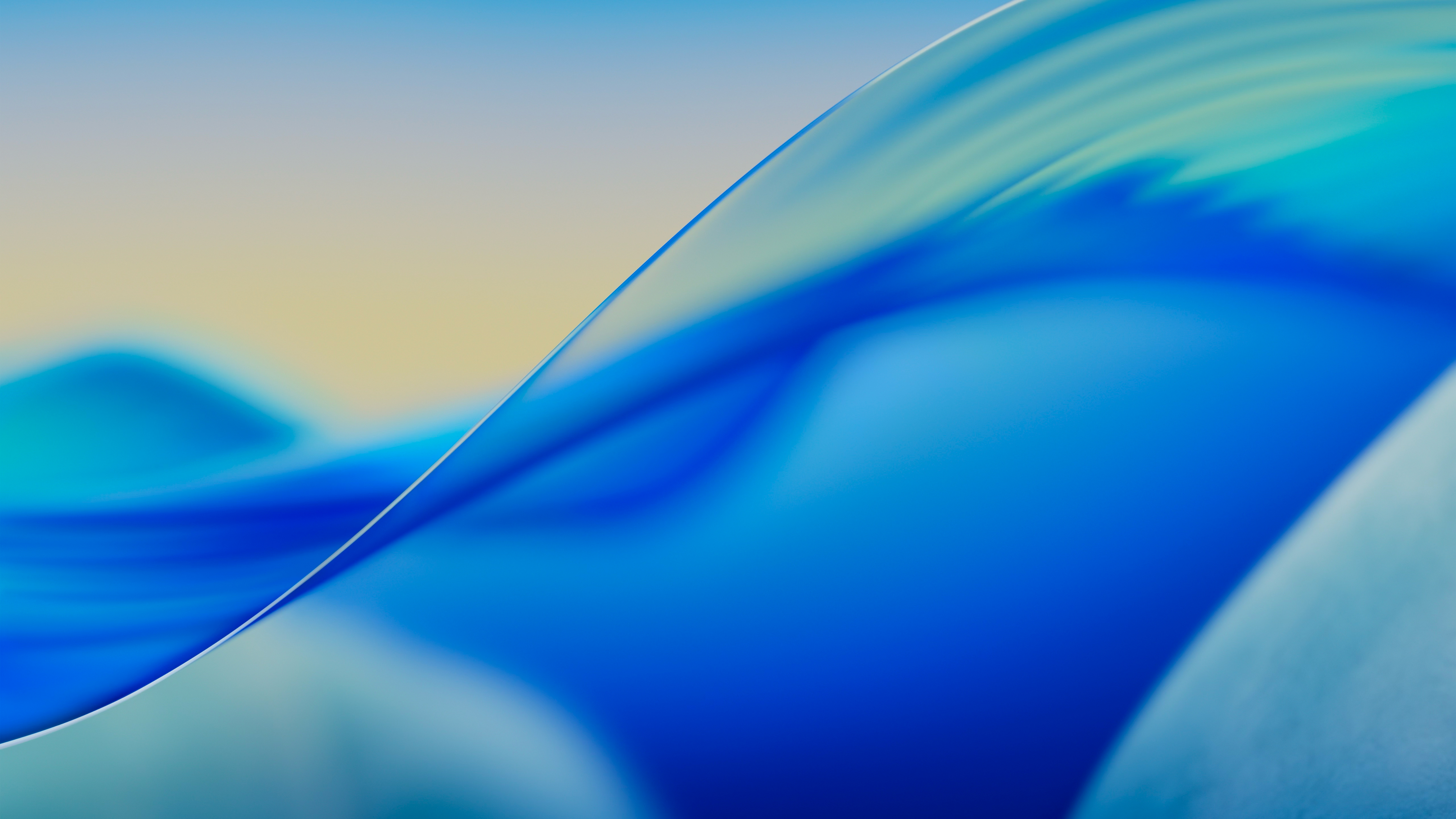wallnet 3