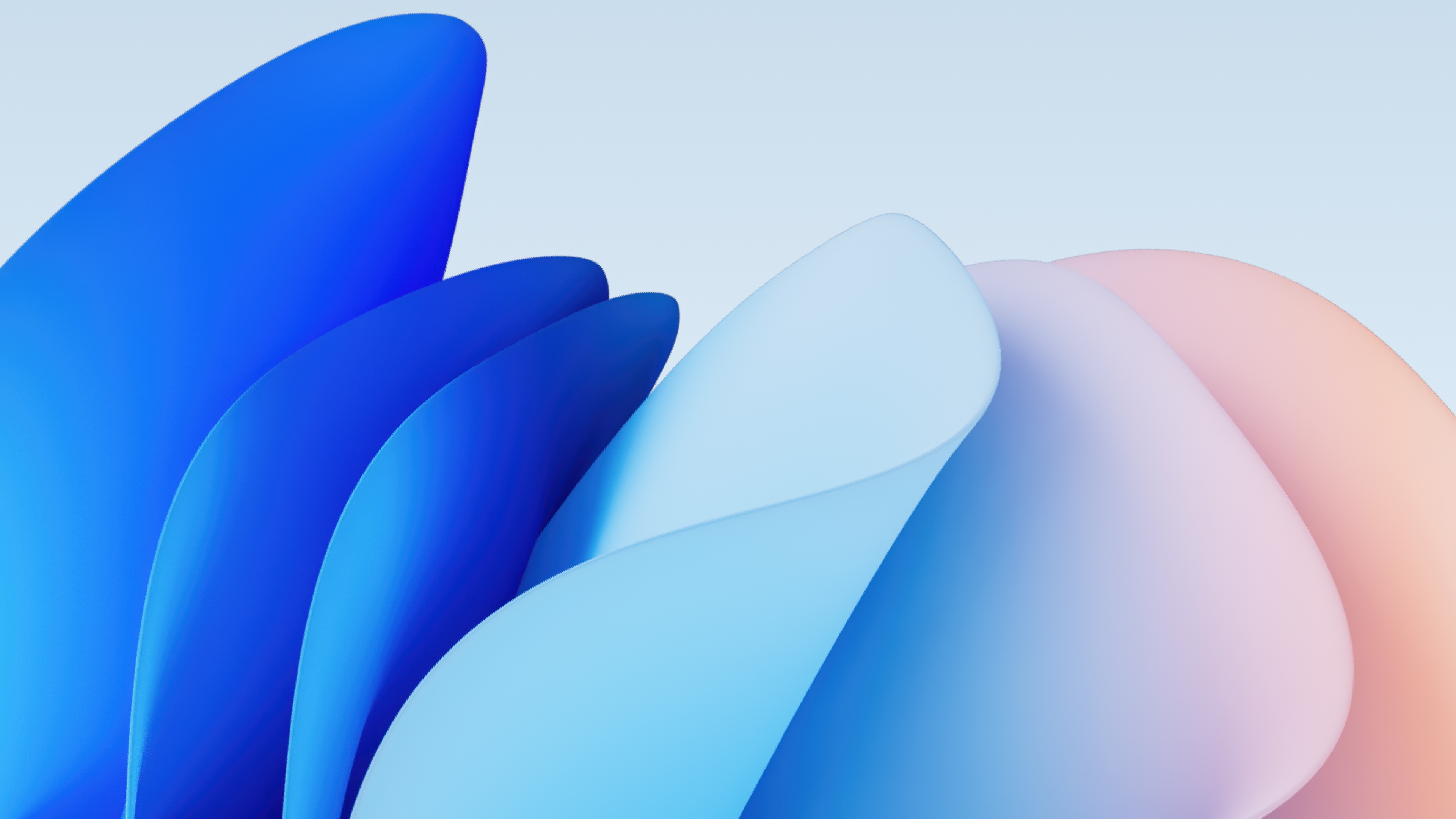wallnet 18